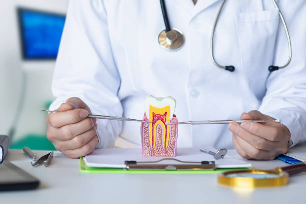 Best Chipped Tooth Repair Near Me  in Butler, GA